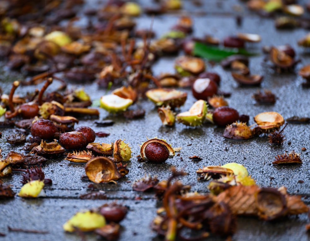 a close up of a bunch of leaves and nuts