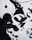 Abstract black ink shapes on a white background, with a few splashes of blue ink scattered around. The arrangement of the ink suggests a modern art piece with fluid forms and bold contrasts.