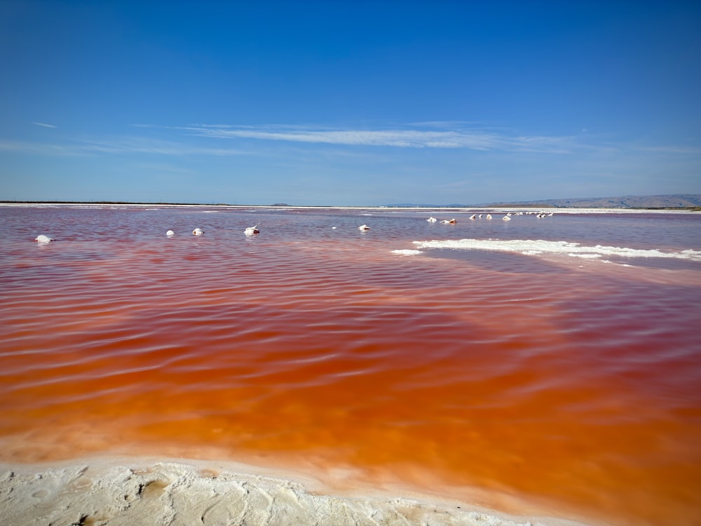 a body of water with orange colored water