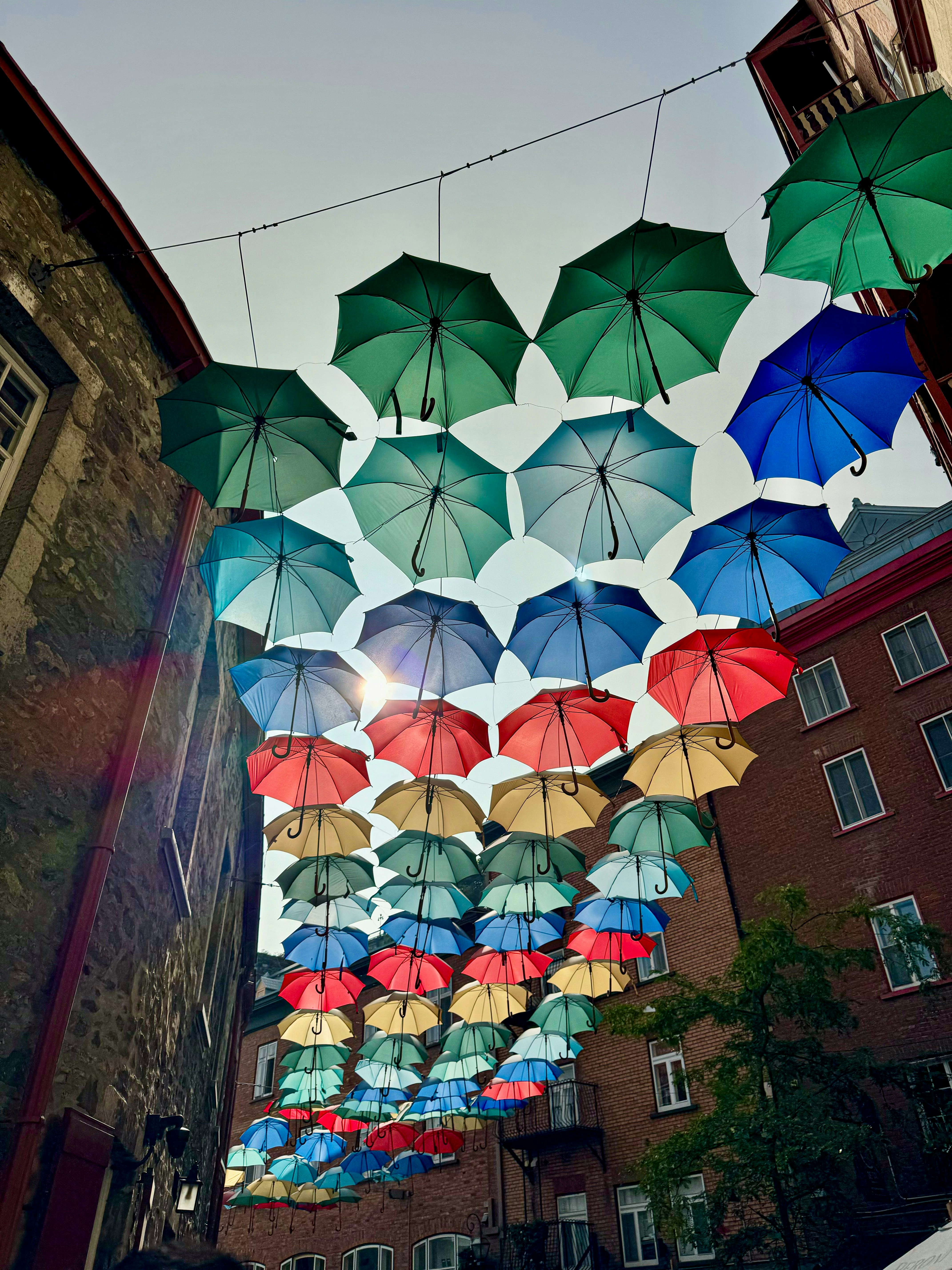 20S/2户外原液腈纶纱线 V035 墨绿 Solution dyed acrylic yarn