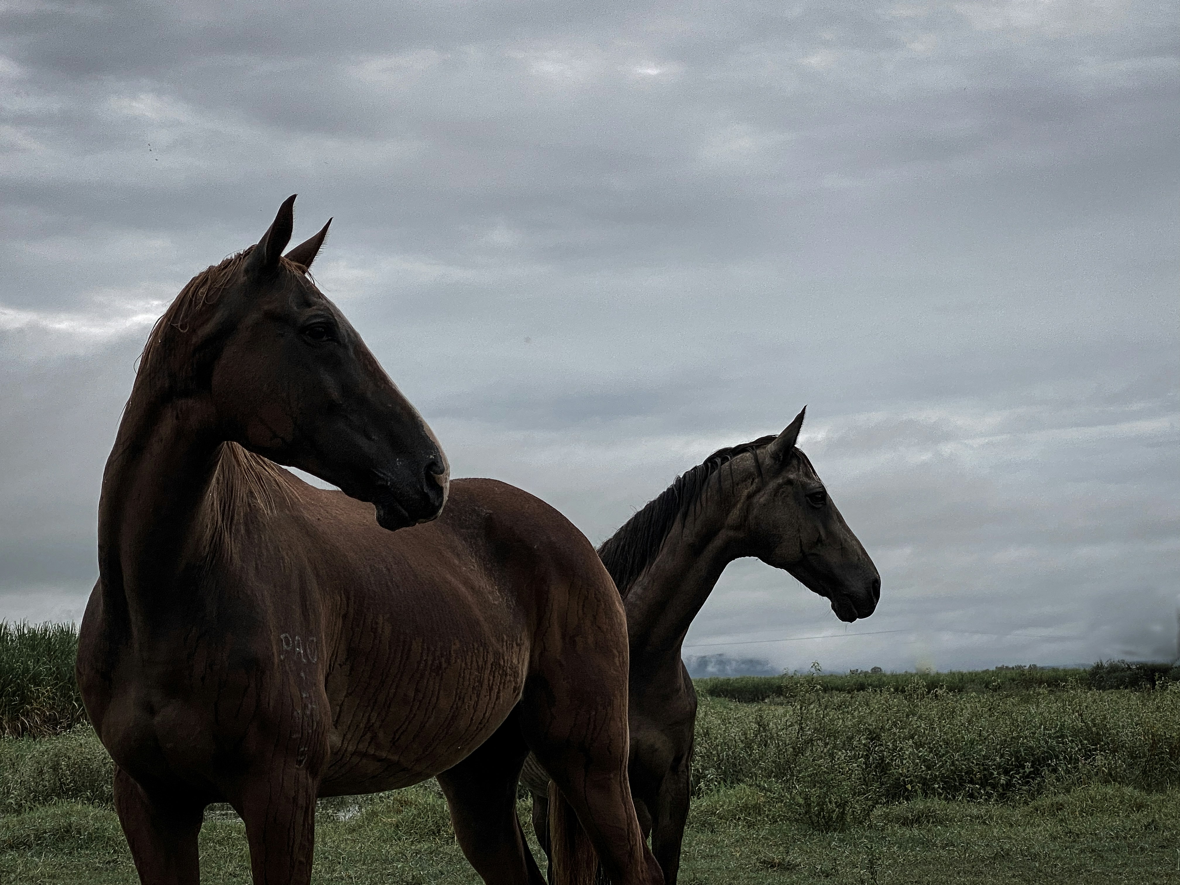 Photo by kate_pierotti