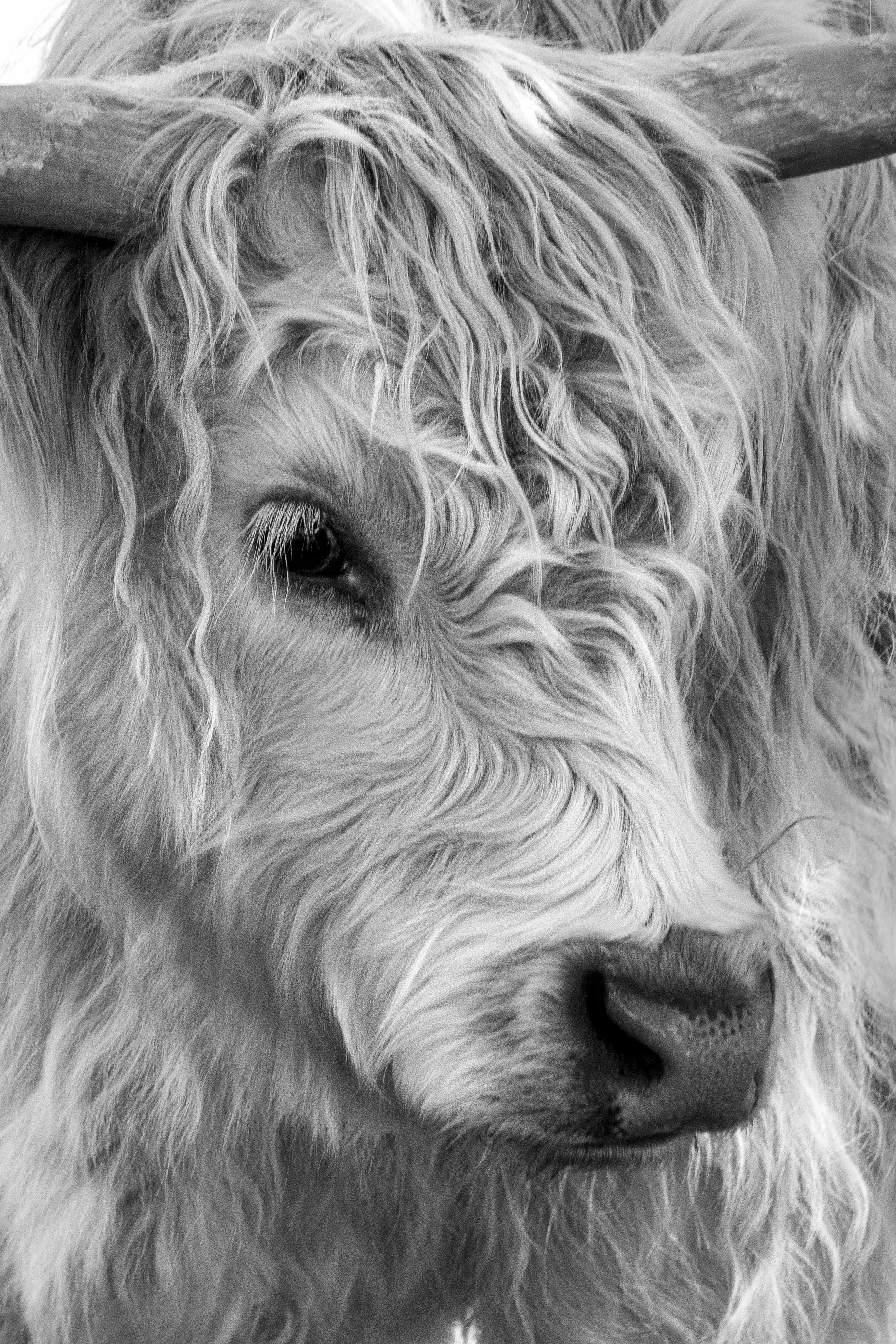 Photo by petriet