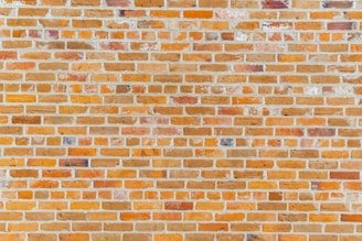 An extensive brick wall consisting of neatly arranged, variously colored bricks primarily in shades of orange and brown. The surface is uniformly flat and displays a pattern typical of brick masonry.