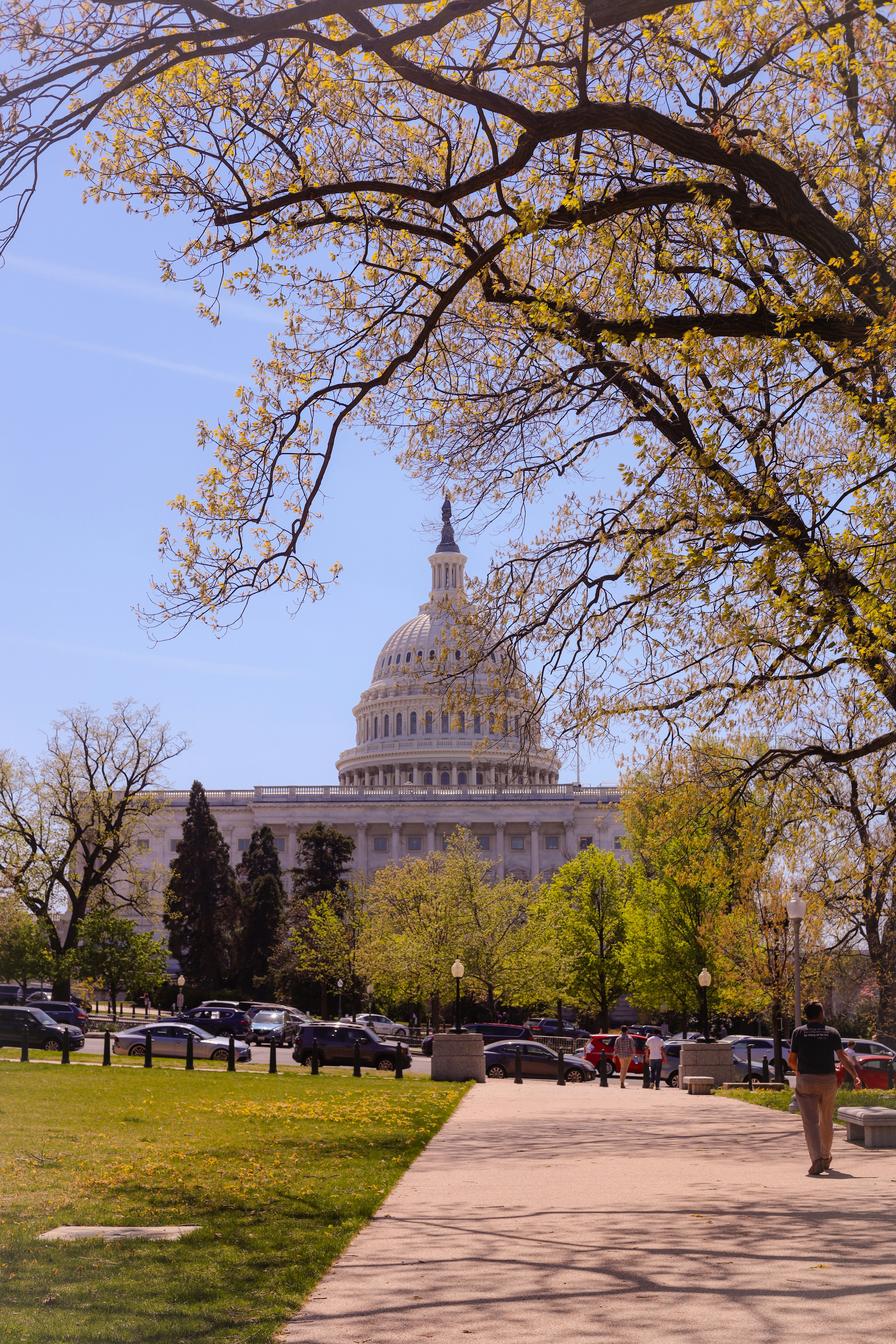 Una vista del edificio del Capitolio desde el otro lado de la calle