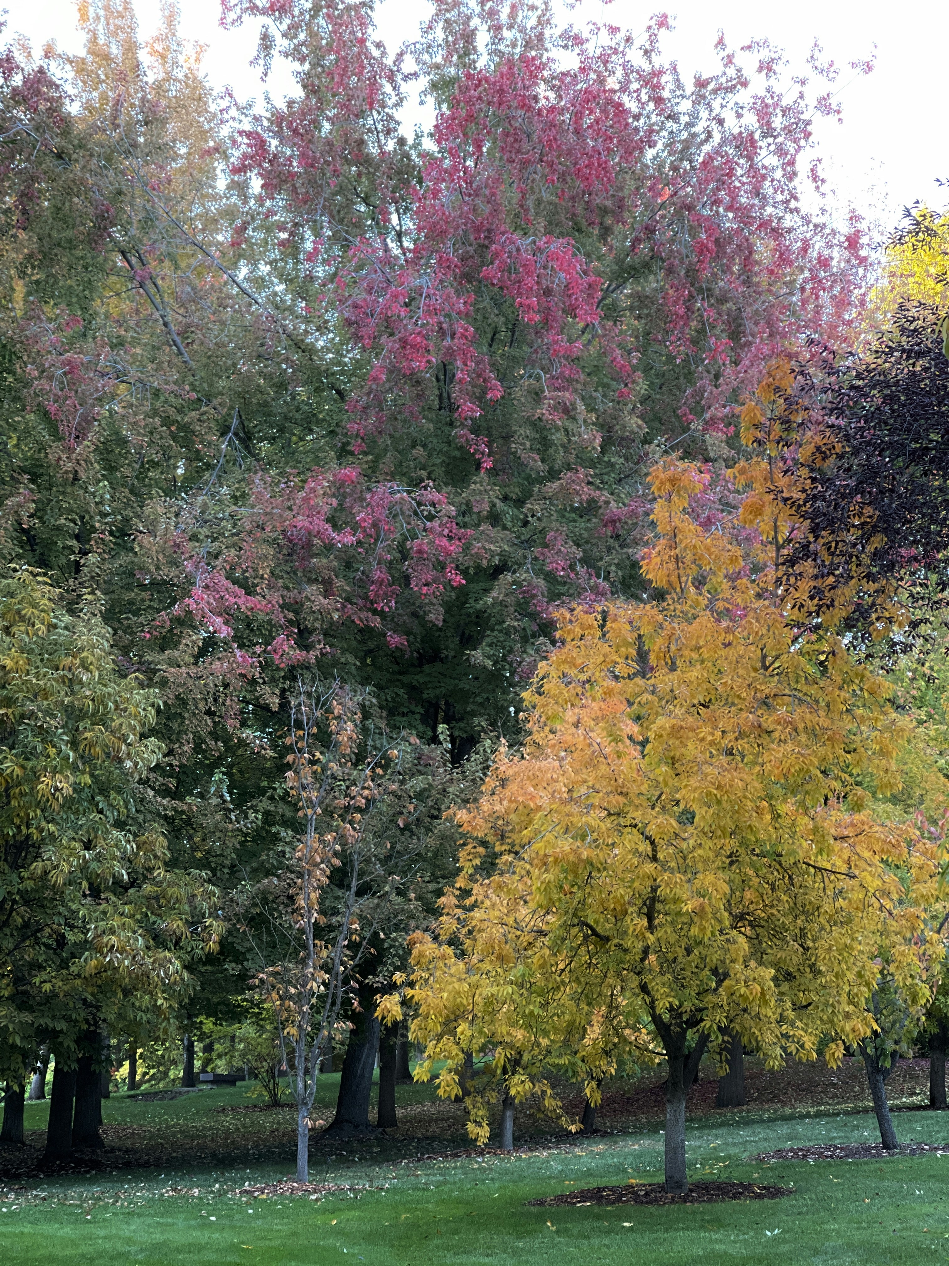 Photo by roxannebohman