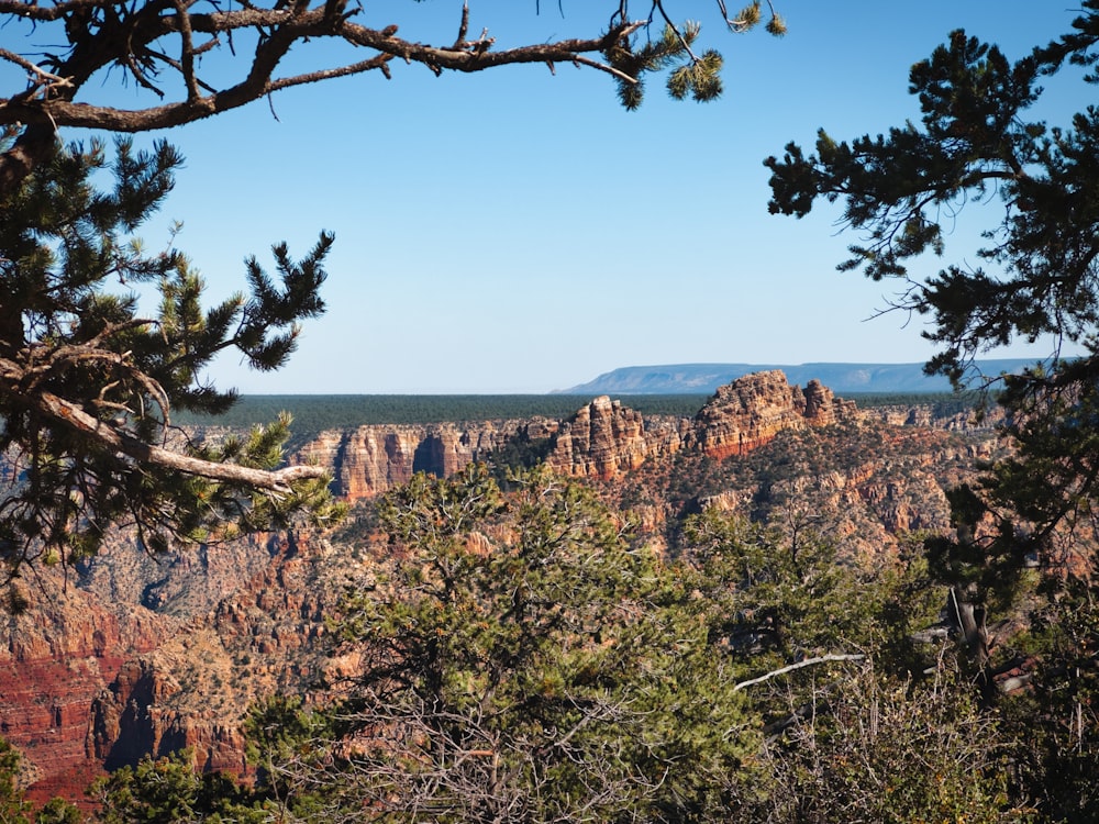 a scenic view of the grand canyons of the grand canyon