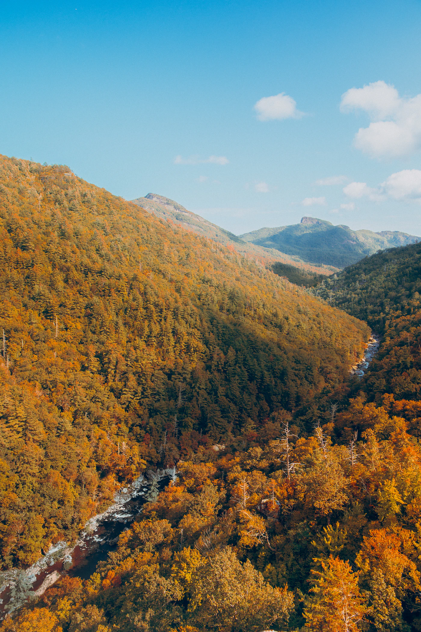 Forested river gorge in autumn representing Delaware Water Gap recreation area