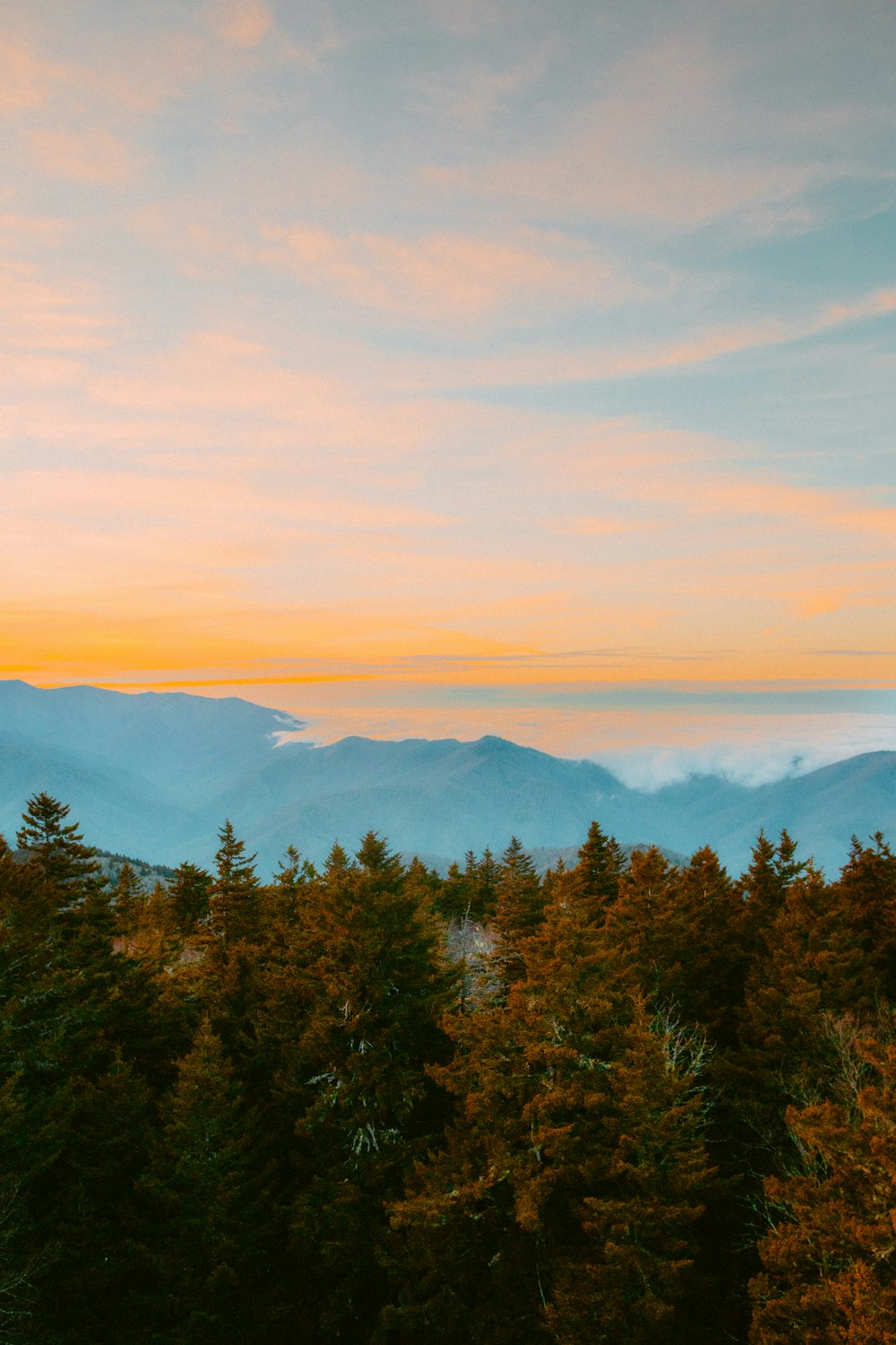 a view of a mountain range with trees in the foreground