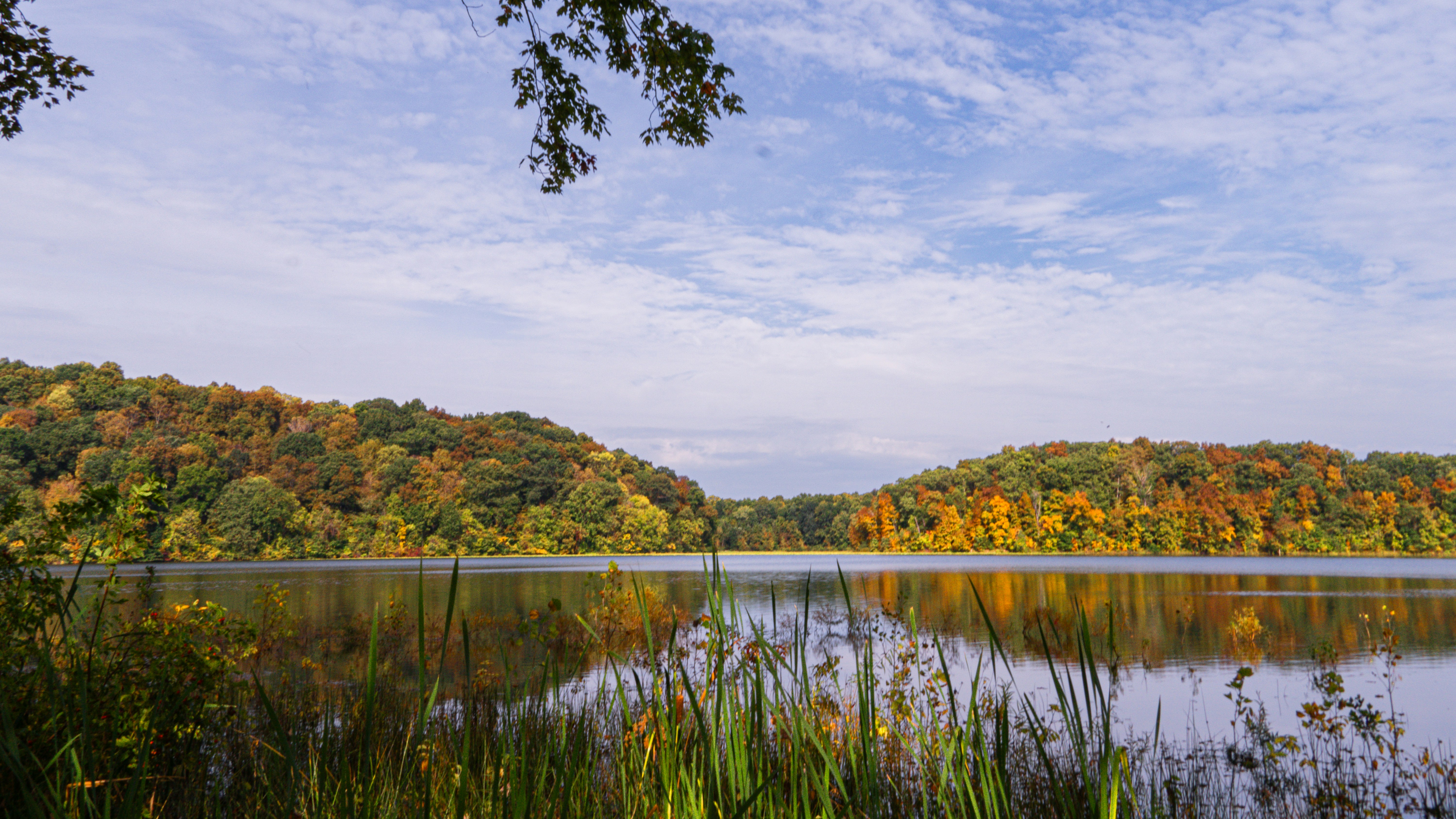 Falls of the Ohio