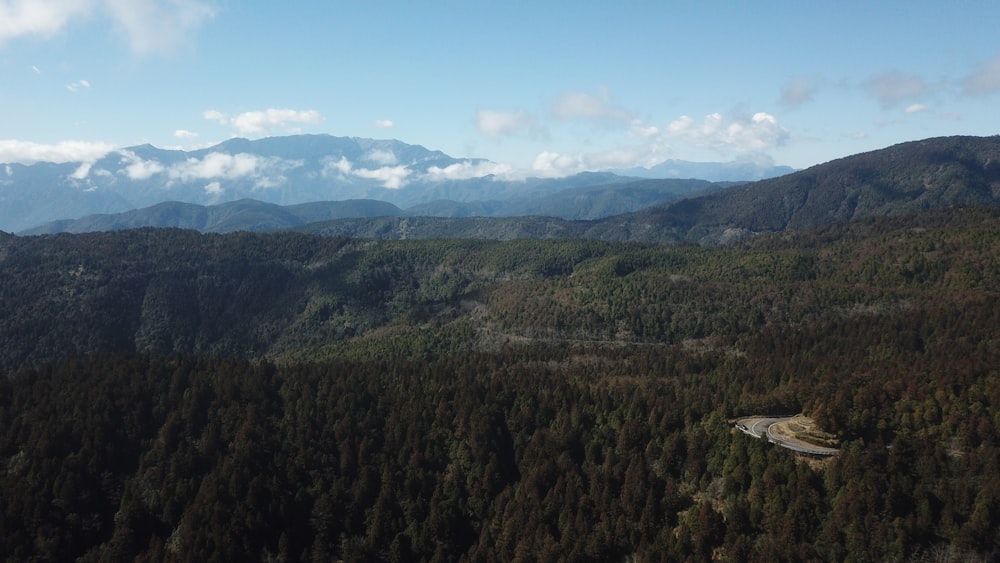 an aerial view of a forest and mountains