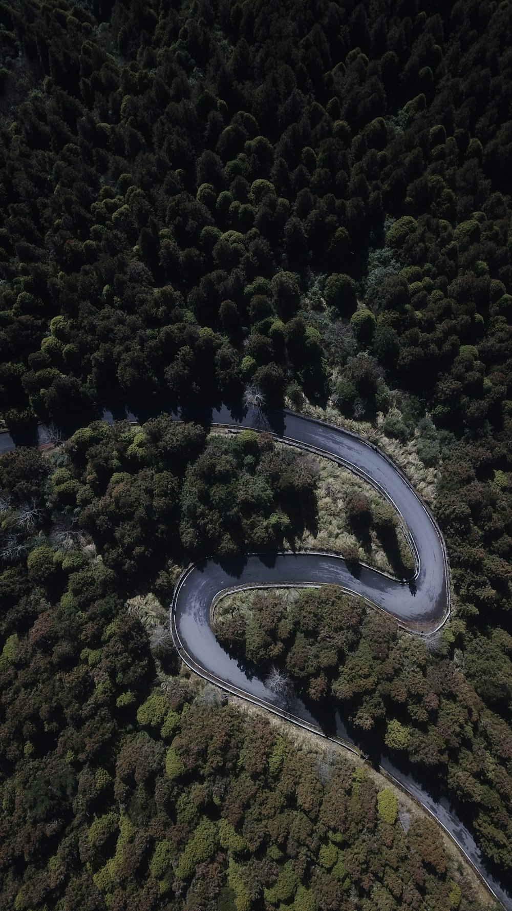 a winding road in the middle of a forest