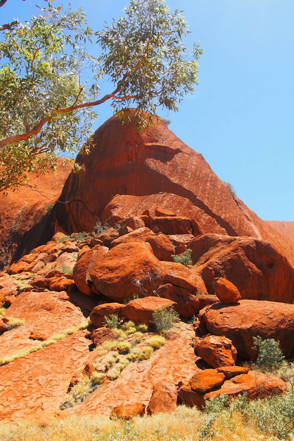 a large rock formation with a tree growing out of it