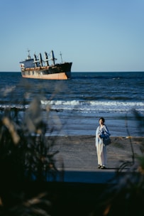 A large cargo ship is in the ocean, with waves gently lapping at the shore. A person stands on the beach in the foreground, wearing light-colored clothing and holding a large bag. The scene is framed by some out-of-focus vegetation in the foreground.
