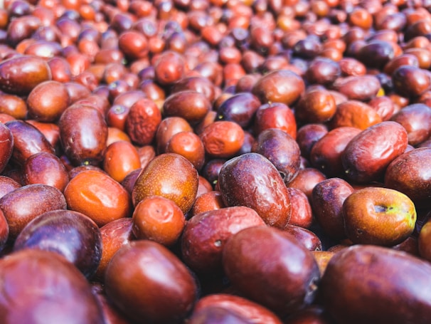 Close-up of ripe jujube fruits hanging on a branch under Moroccan sunlight