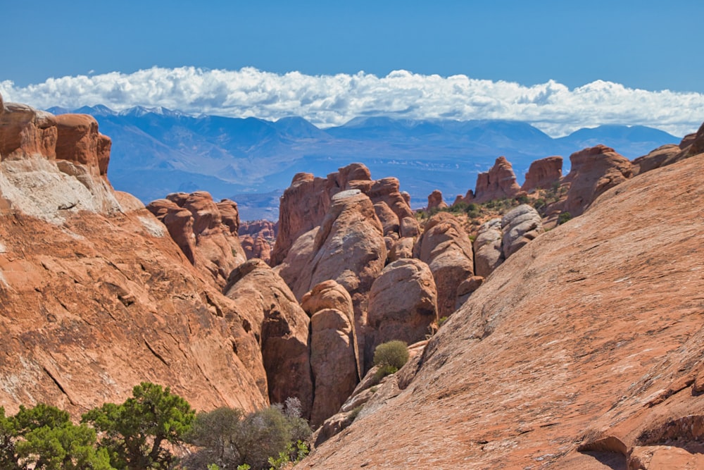 a view of a rocky landscape with mountains in the background