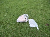 A green grassy field with two plastic bags placed on the ground. The bags appear to contain some sort of items, possibly trash or leftover food. The setting is outdoors, and the grass appears freshly mowed.