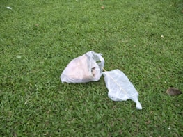 A green grassy field with two plastic bags placed on the ground. The bags appear to contain some sort of items, possibly trash or leftover food. The setting is outdoors, and the grass appears freshly mowed.