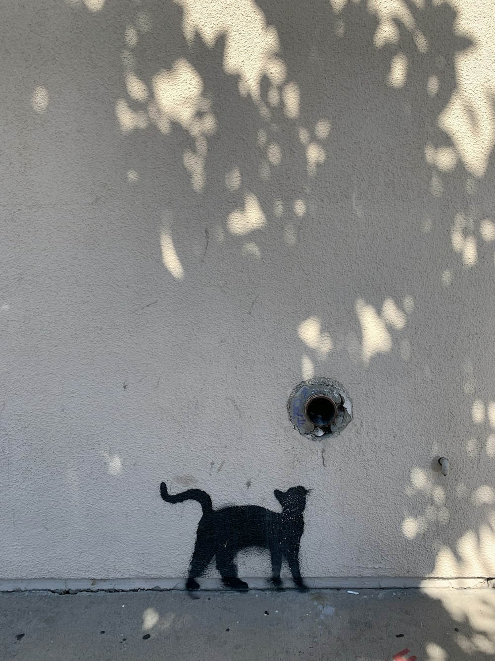 a shadow of a cat on the side of a building