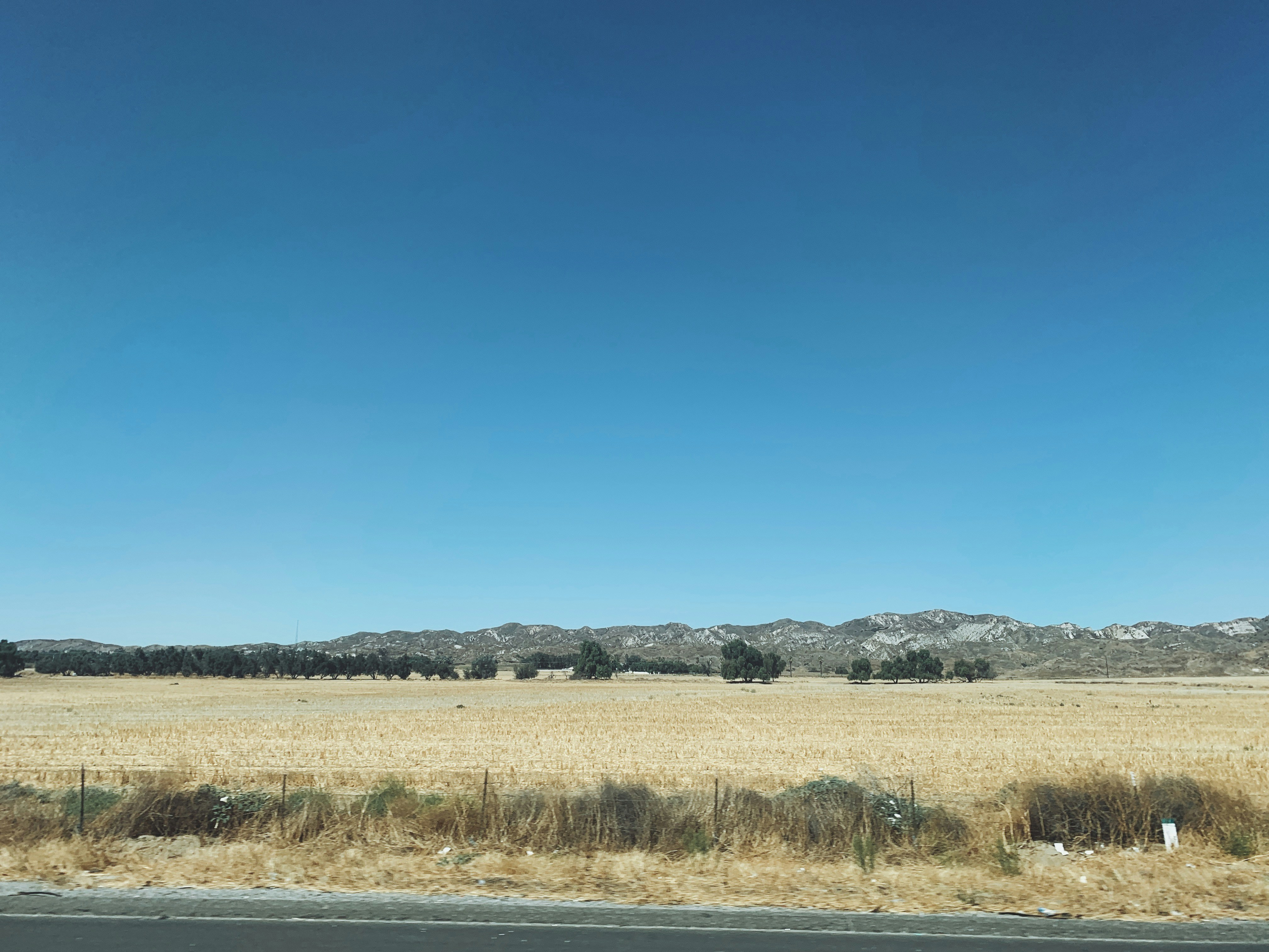 a large open field with mountains in the background