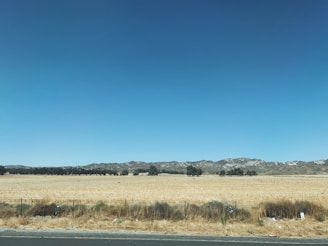 A vacant parcel with wild grass and a distant view of rolling hills.