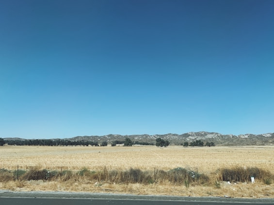 A vacant parcel with wild grass and a distant view of rolling hills.