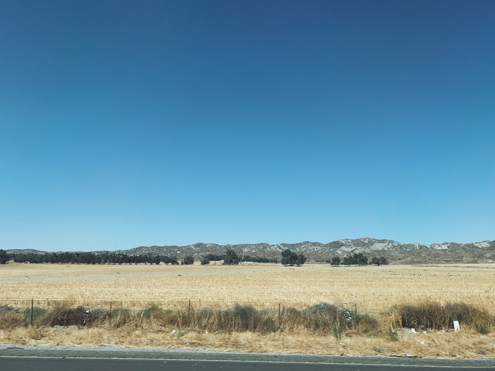 a large open field with mountains in the background