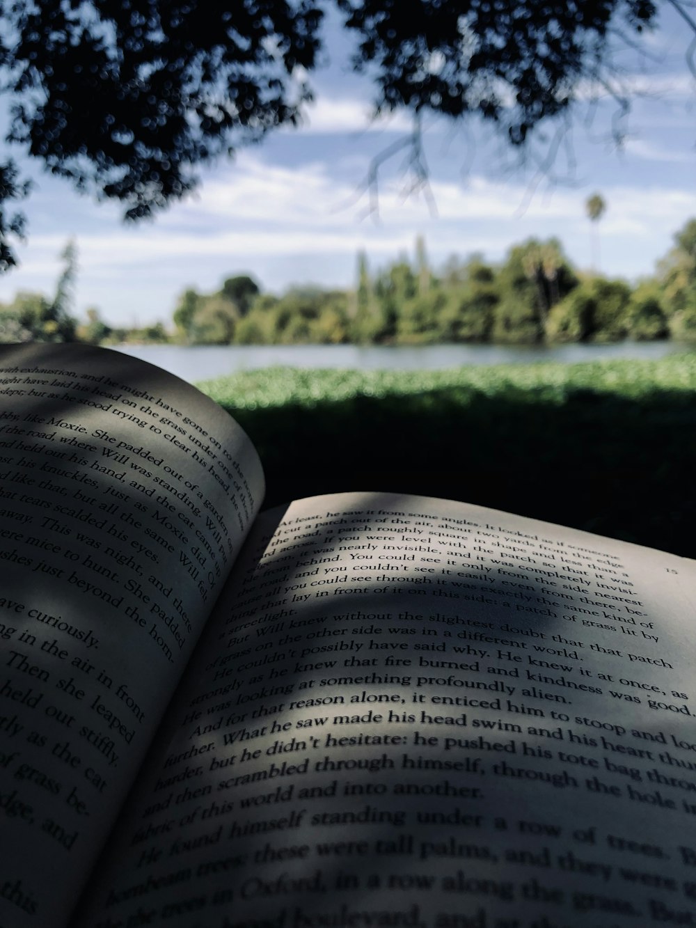 an open book sitting on top of a lush green field