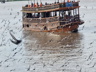 A large wooden boat is sailing on a river, crowded with people wearing life jackets. Numerous birds are flying close to the water, creating a sense of movement and activity.