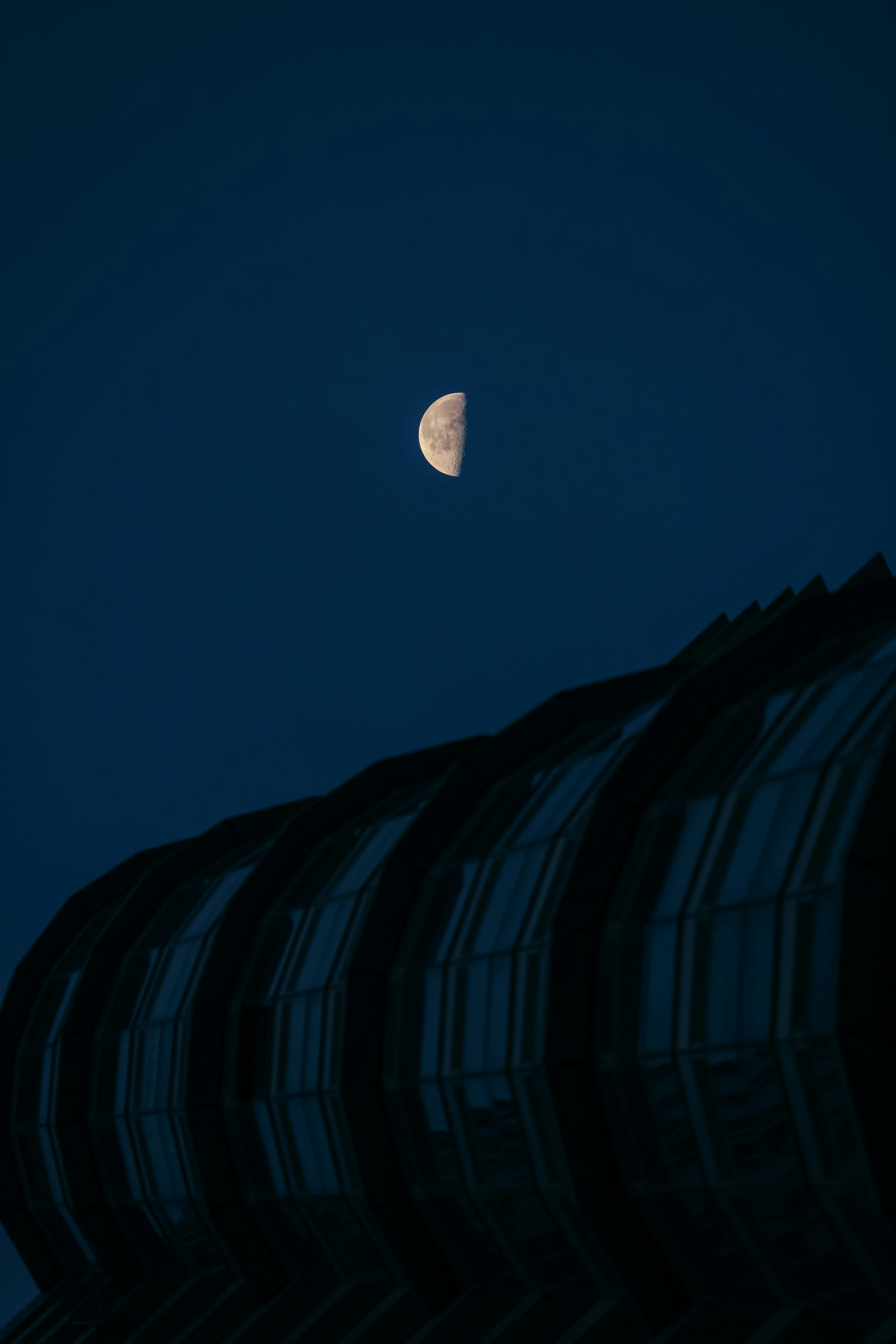 Photo by dickenslin76