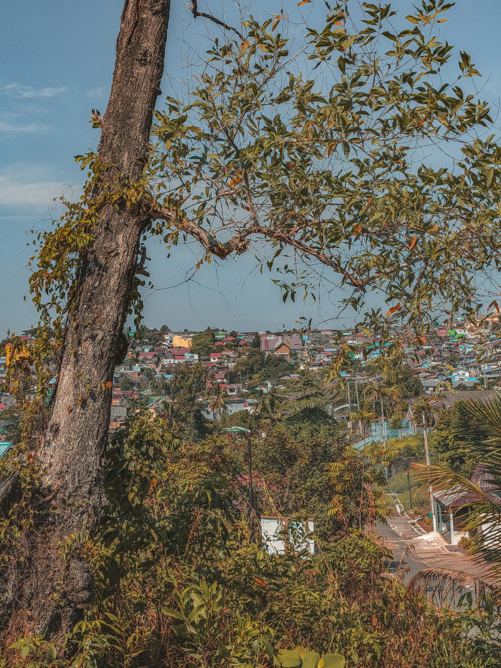 Una vista de una ciudad desde una colina