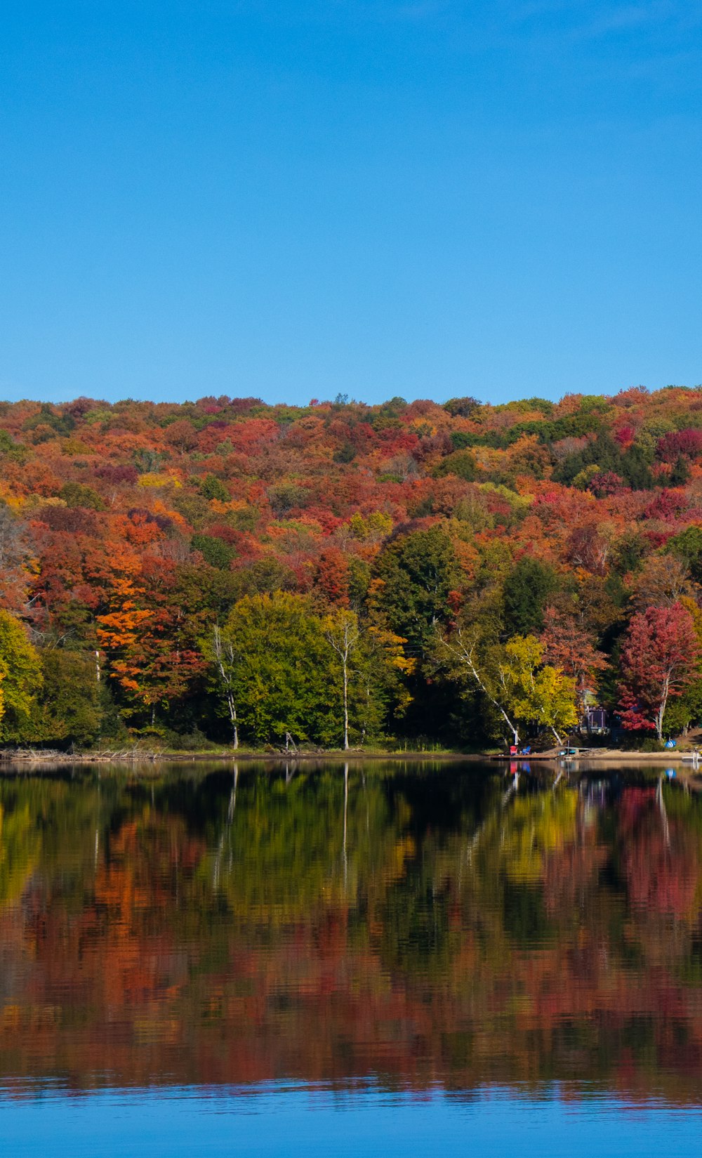 a body of water surrounded by colorful trees