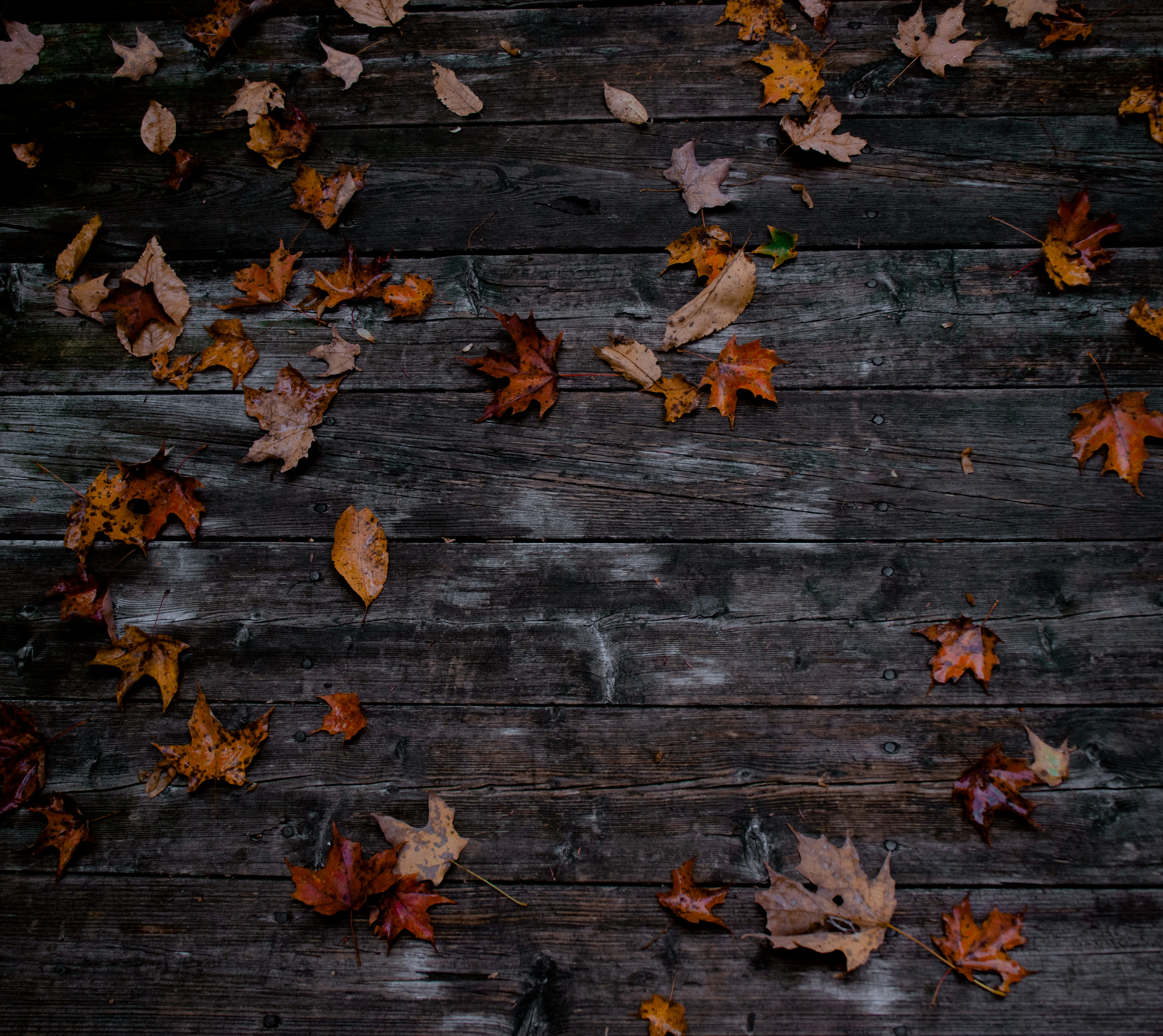 Photo by sinabahar76