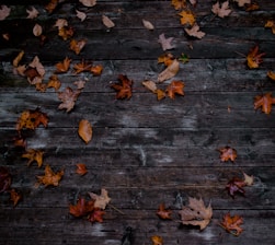 A sleek lifewell air blower resting on a wooden porch with autumn leaves scattered around.