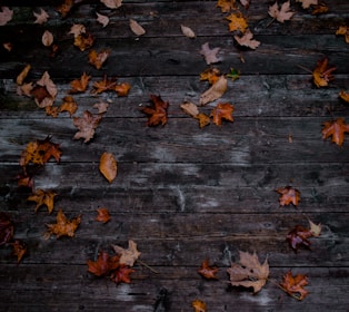 A sleek lifewell air blower resting on a wooden porch with autumn leaves scattered around.