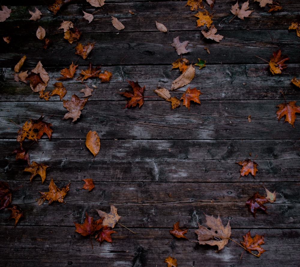 a bunch of leaves laying on a wooden floor