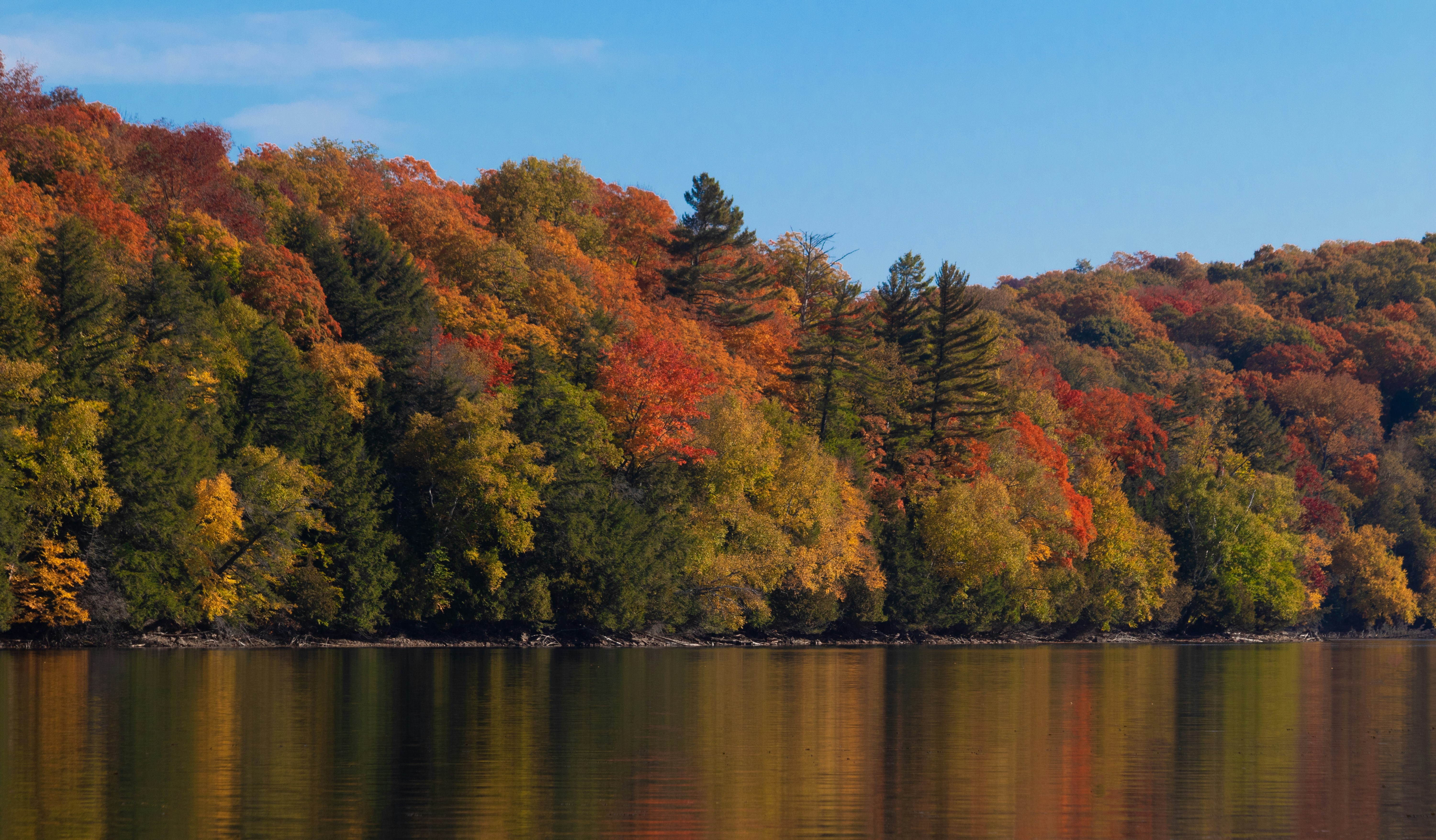 Photo by sinabahar76