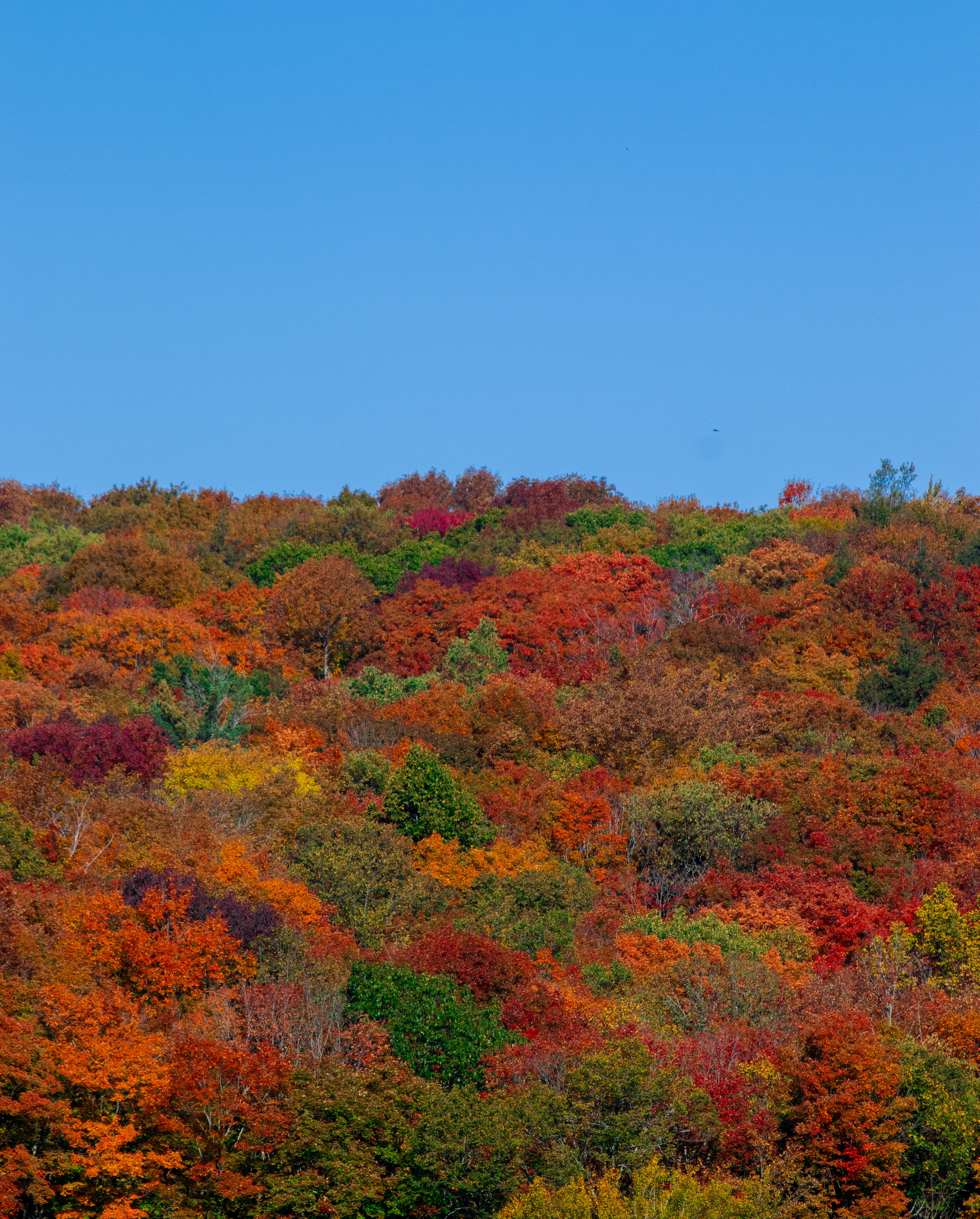 Photo by sinabahar76