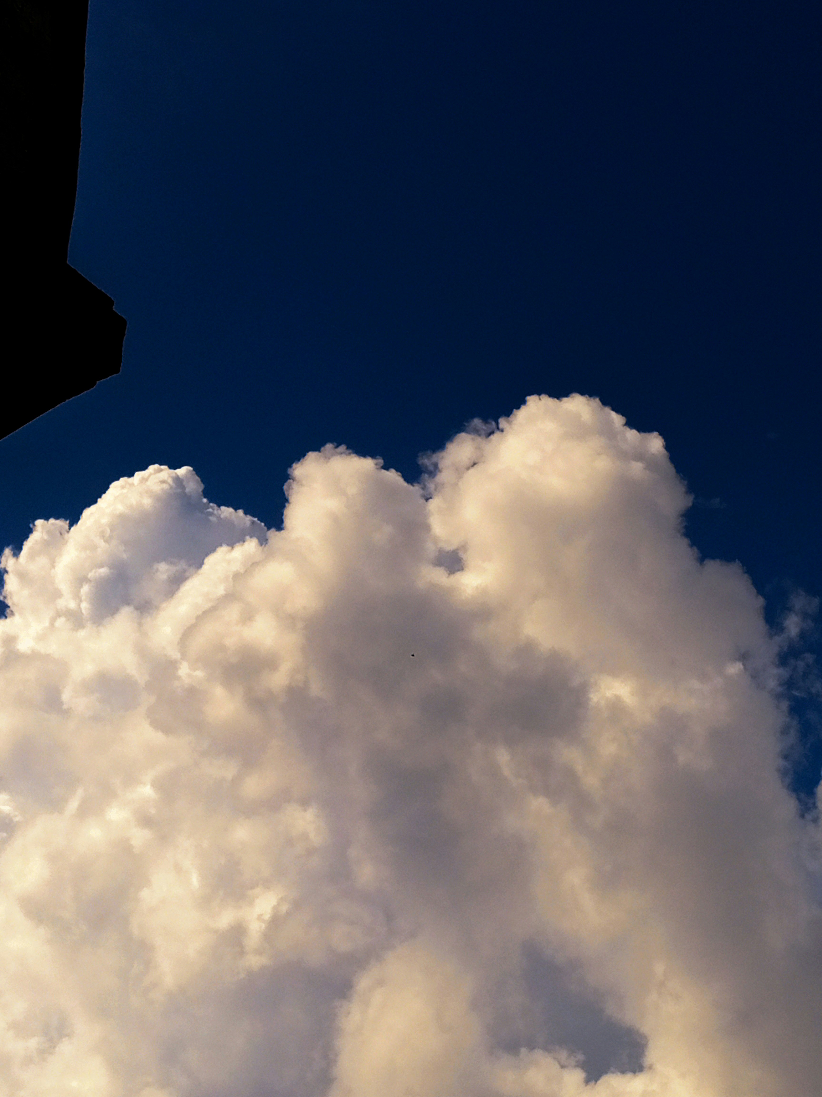 Photo by marshallibia