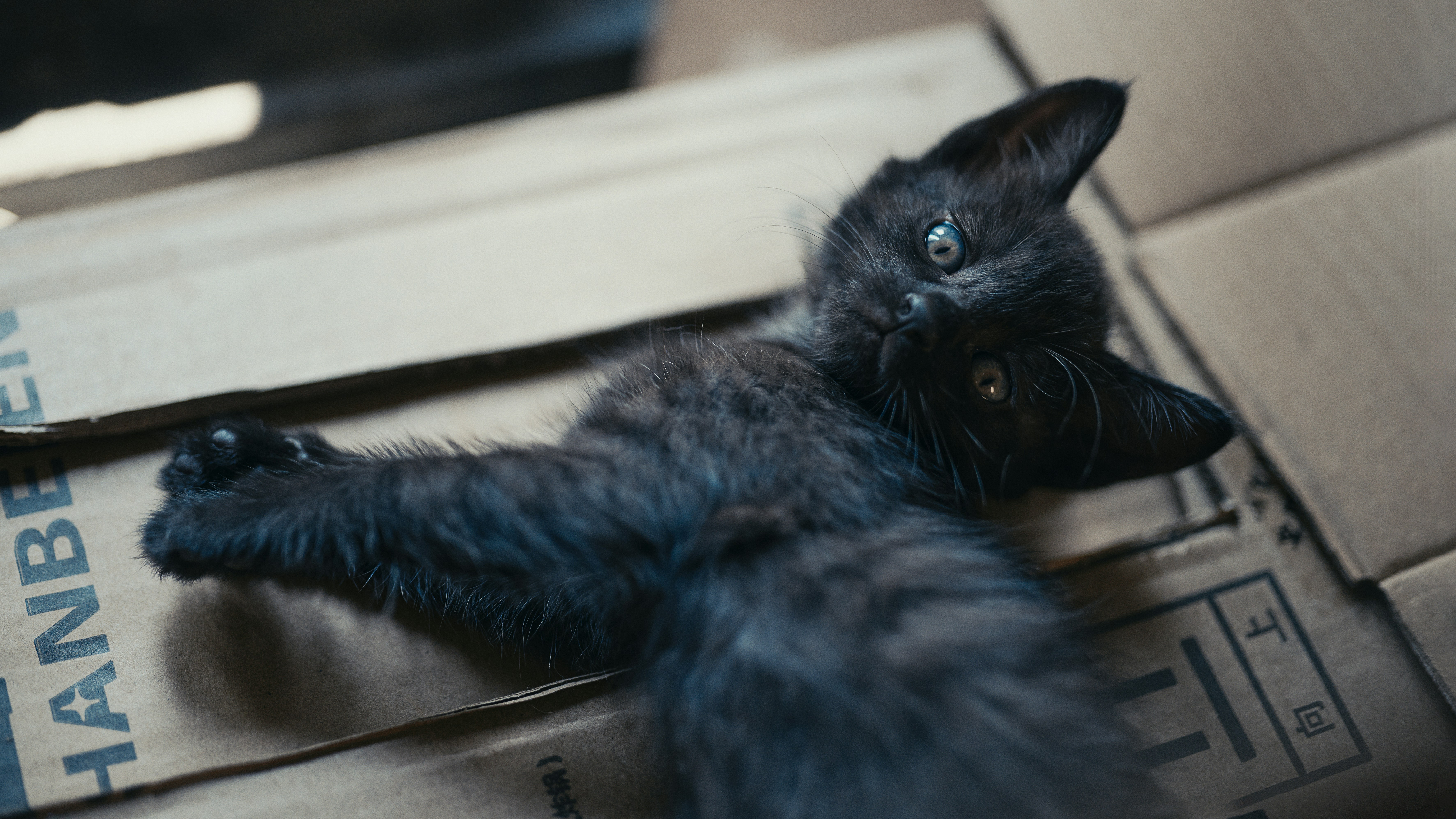 Photo by dodowang1994