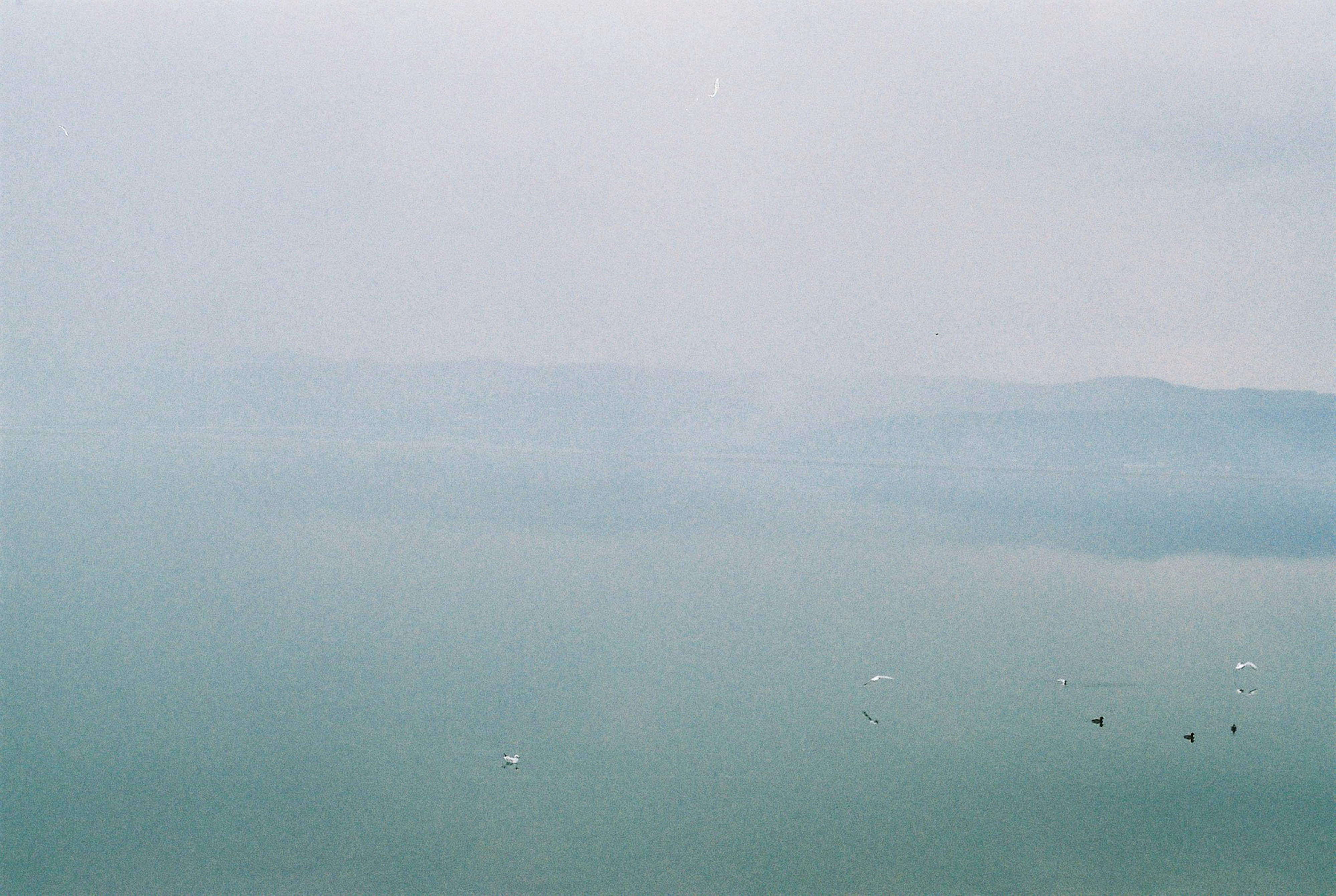 Photo by burcubircan