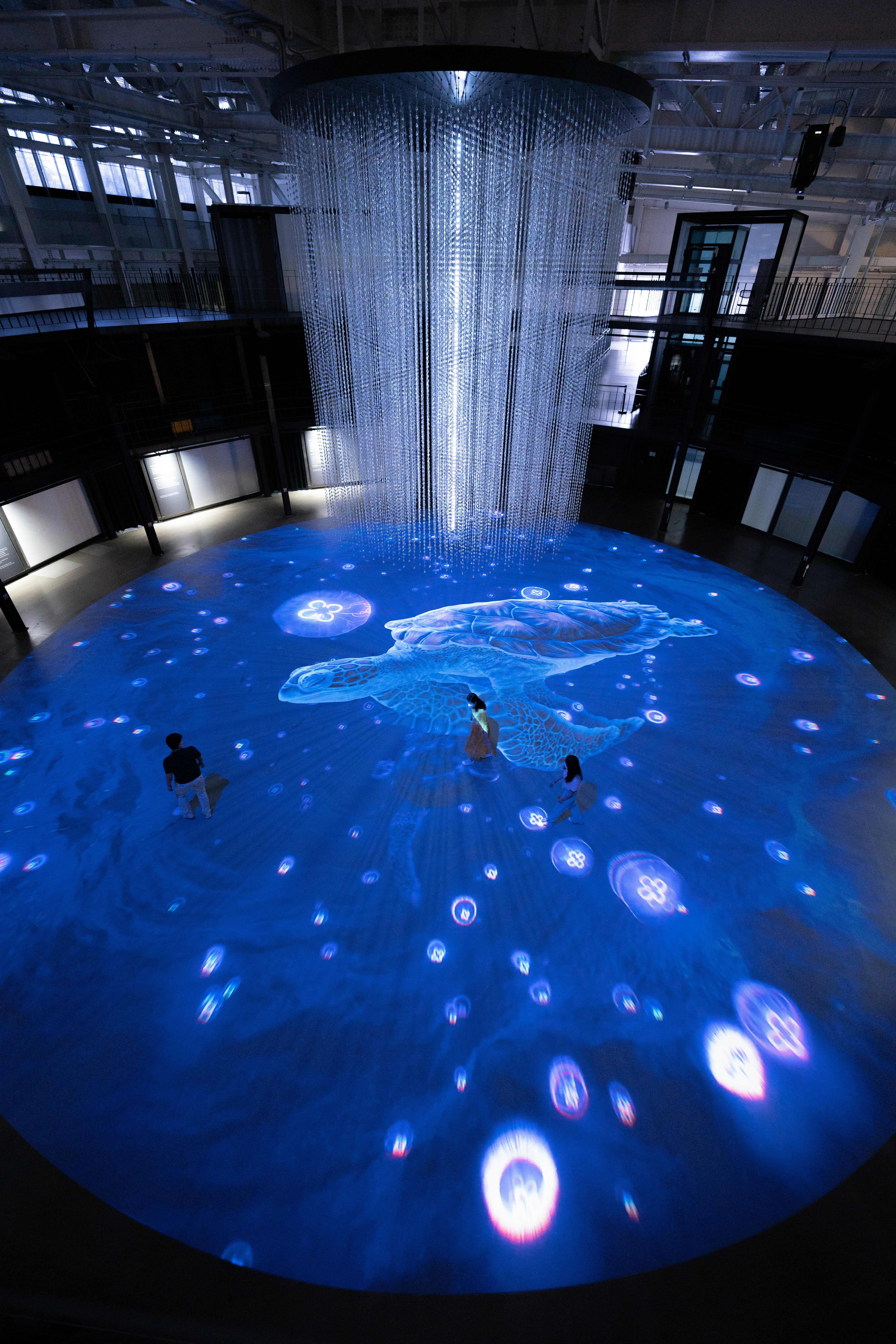 photo-1696569084498-dd3c59d85c64?ixid=M3