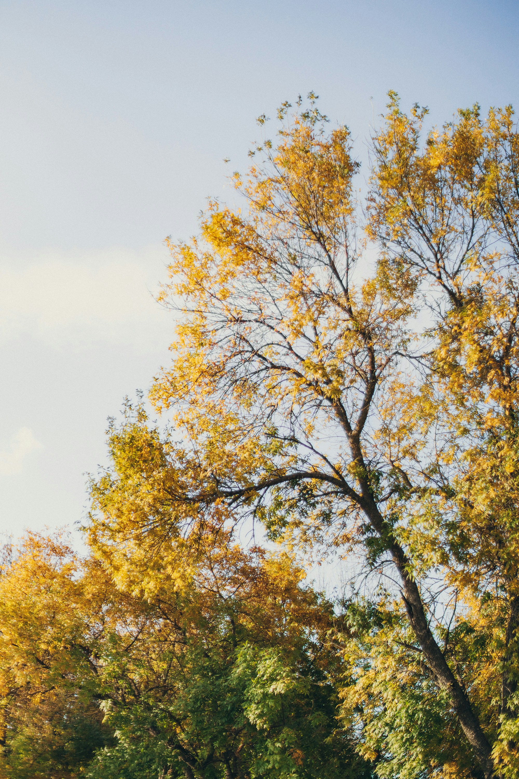 Photo by panfilov_jpg