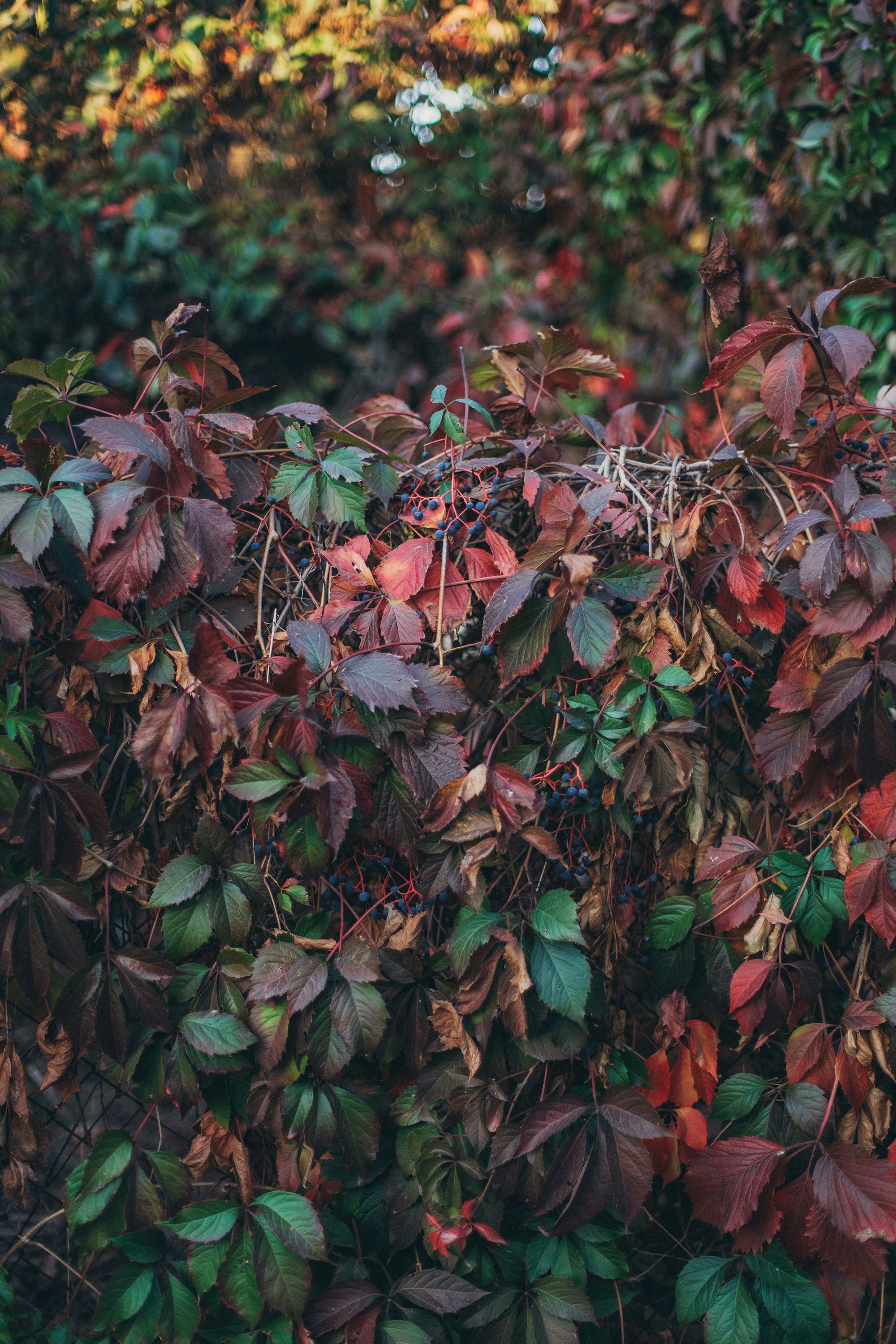 Photo by panfilov_jpg