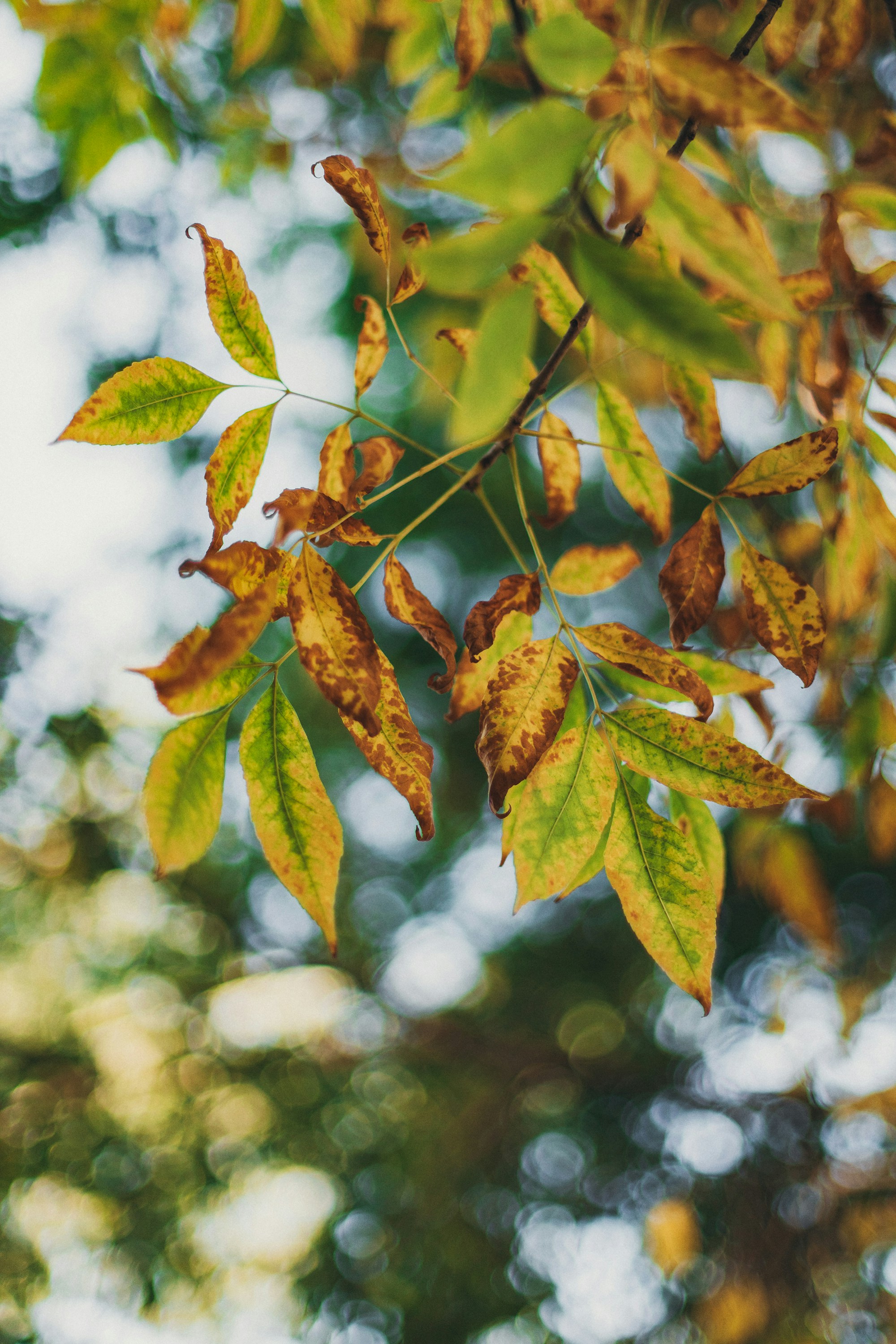 Photo by panfilov_jpg