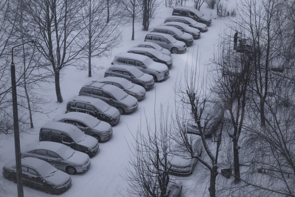 a long line of parked cars covered in snow
