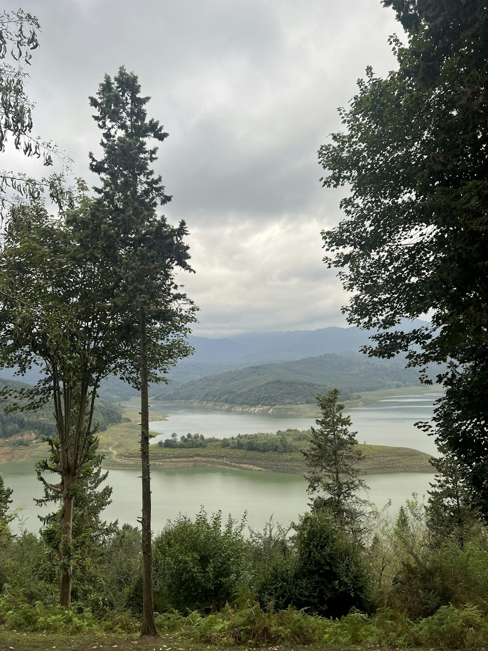 a view of a lake through some trees