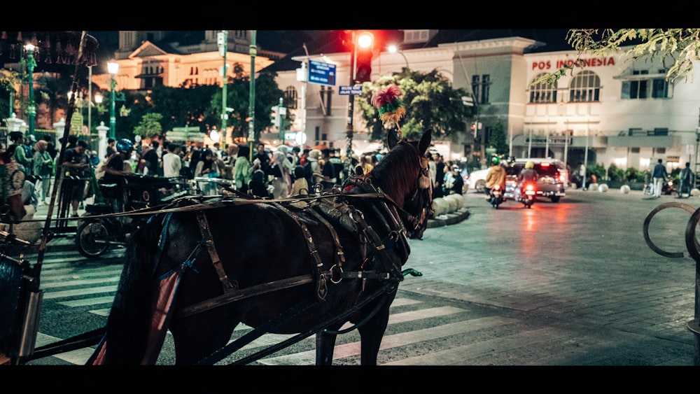 a horse drawn carriage on a city street