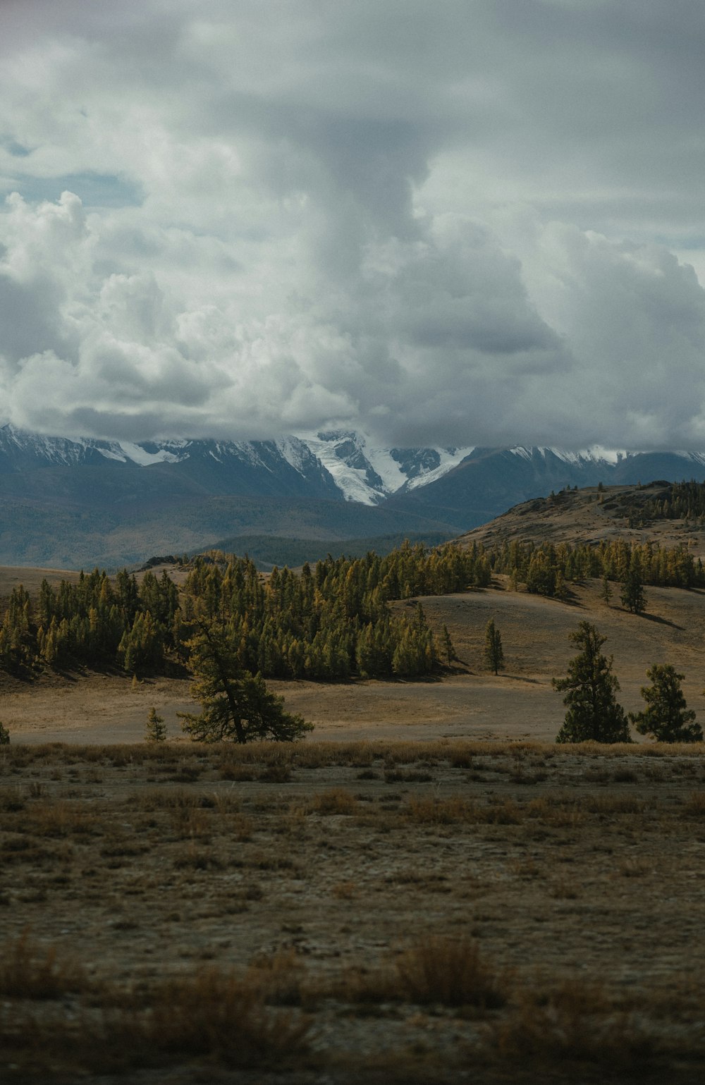 a field with trees and mountains in the background