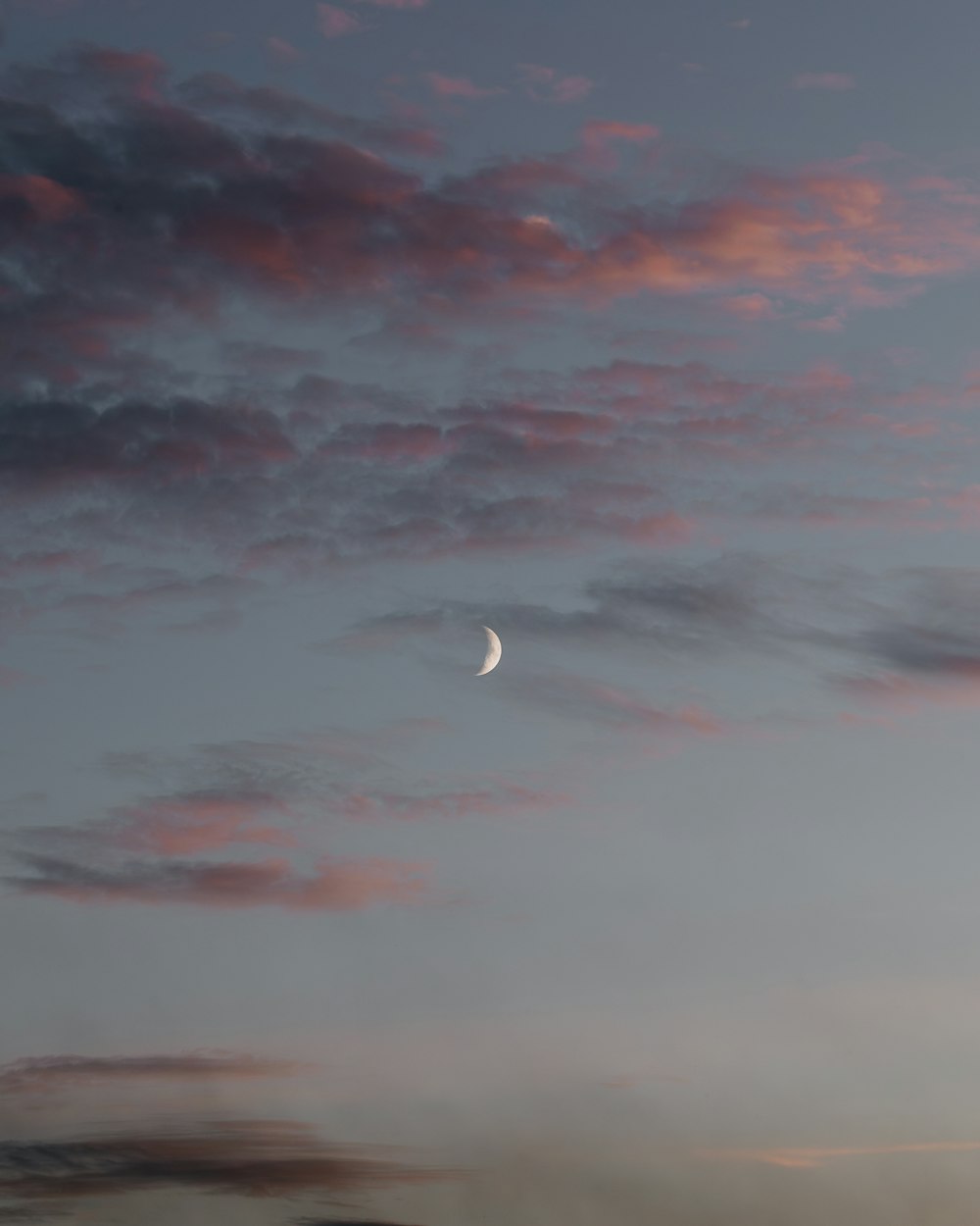 a full moon is seen in the sky