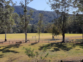 A serene view of Froehlich Farm’s wooded trails and open fields under a bright sky.